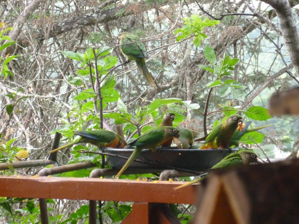 Estalagem Dos Esquilos Campos do Jordão